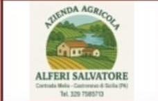 Logo Azienda Agricola Alfieri Salvatore