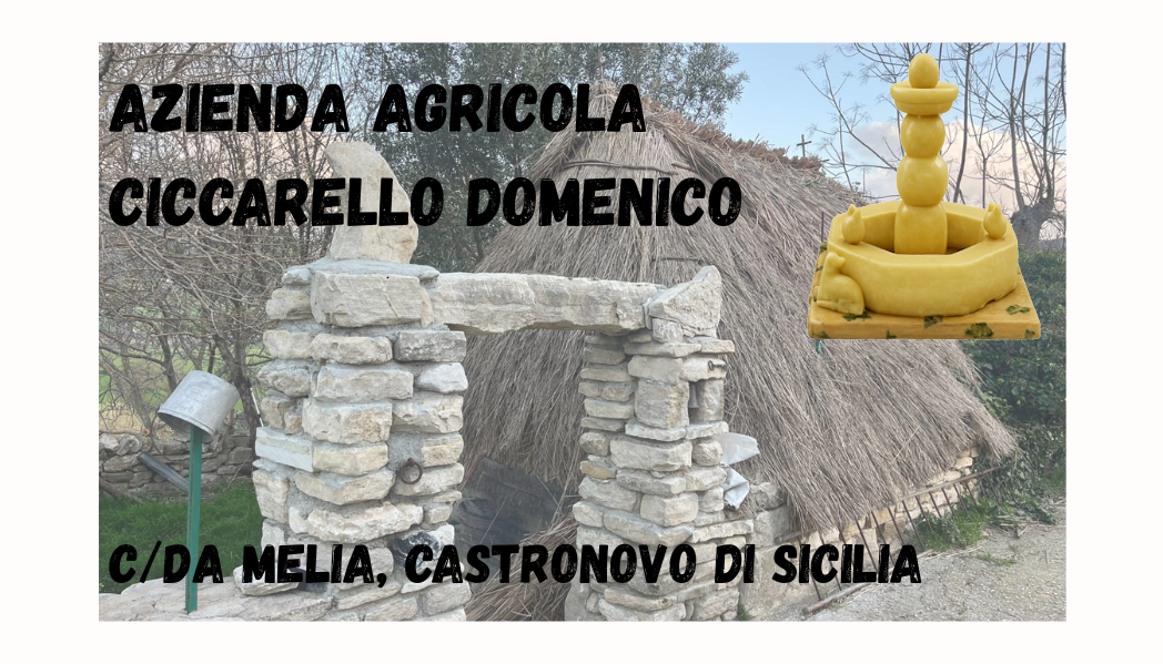 Logo Azienda Agricola Ciccarello Domenico