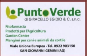 Logo Punto Verde – Giracello Egidio & C. S.n.c.
