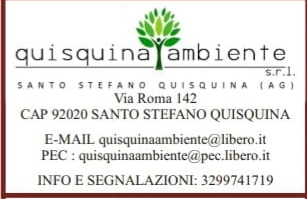 Logo Quisquina Ambiente S.r.l.