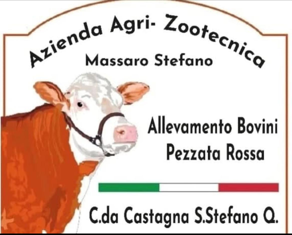 Logo Az. Agr. Massaro Stefano – Allevamento Pezzata Rossa
