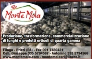 Logo Buffa Funghi Monte Mola