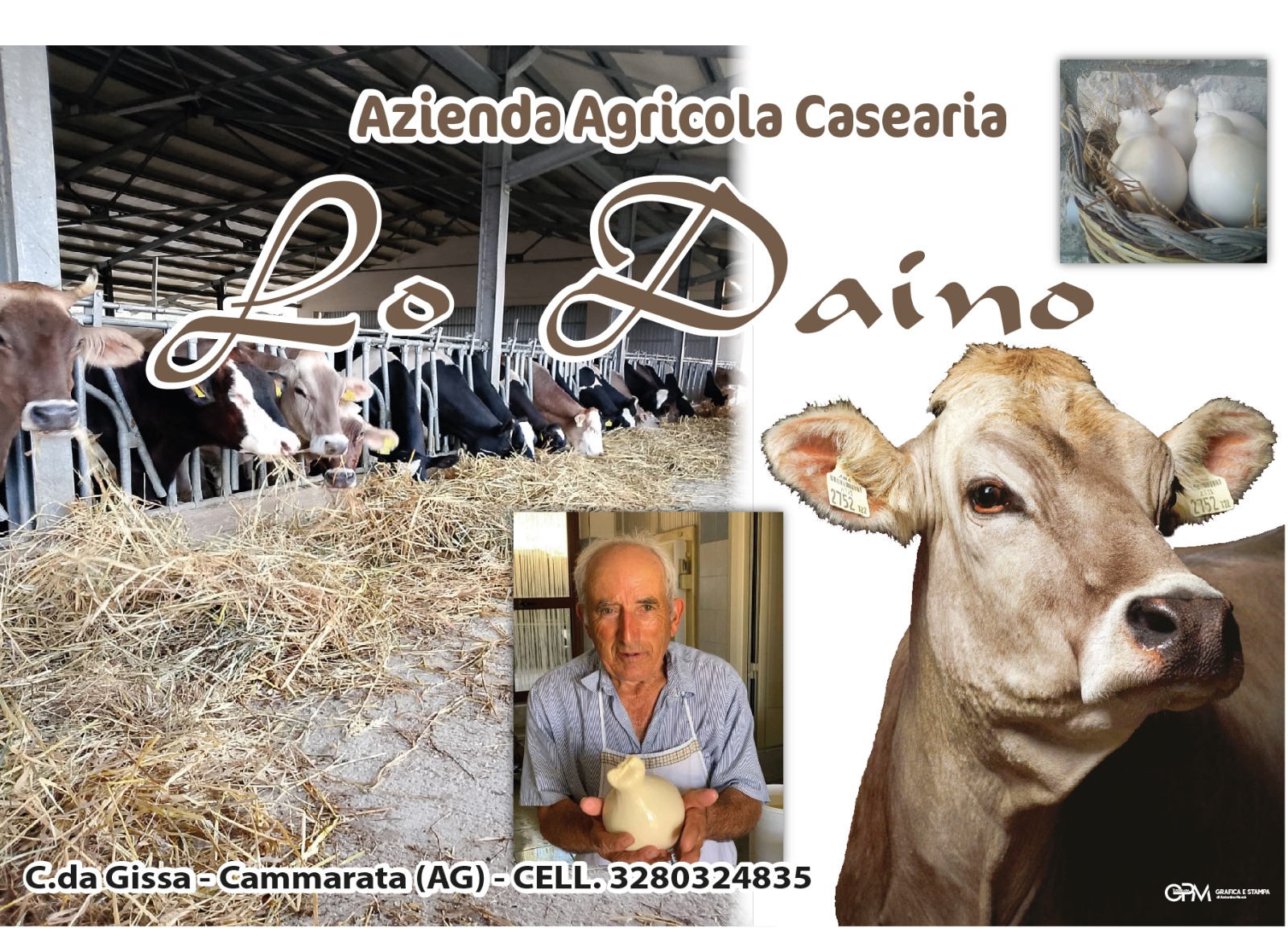 Logo Az. Agr. Casearia Lo Daino