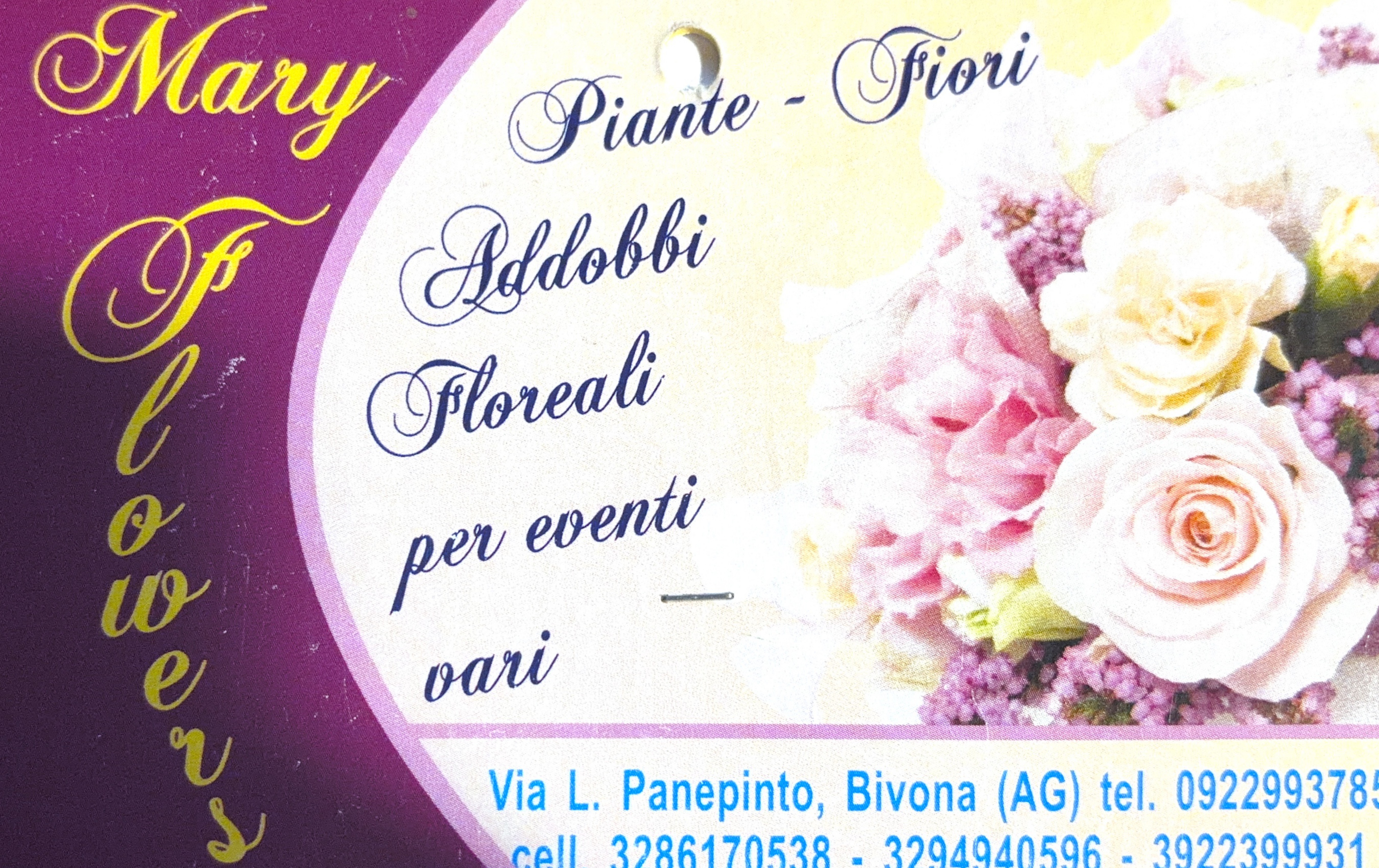 Logo Mary Flowers – Fiori