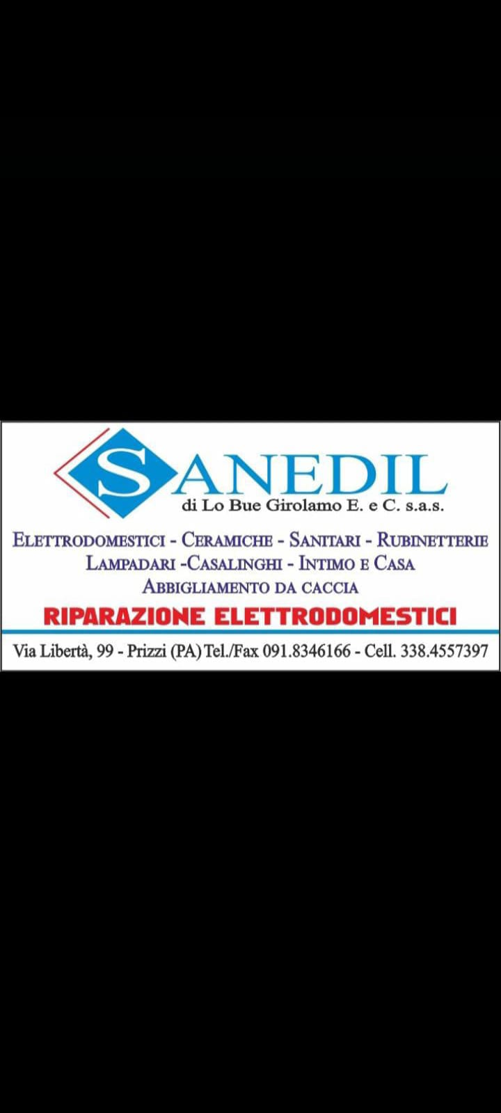 Logo Sanedil di Lo Bue Girolamo